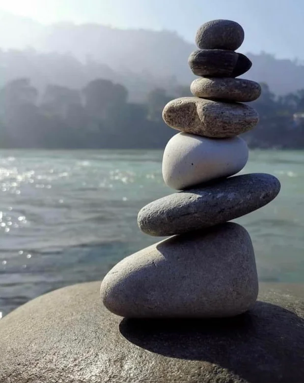 Apply for Wellness License