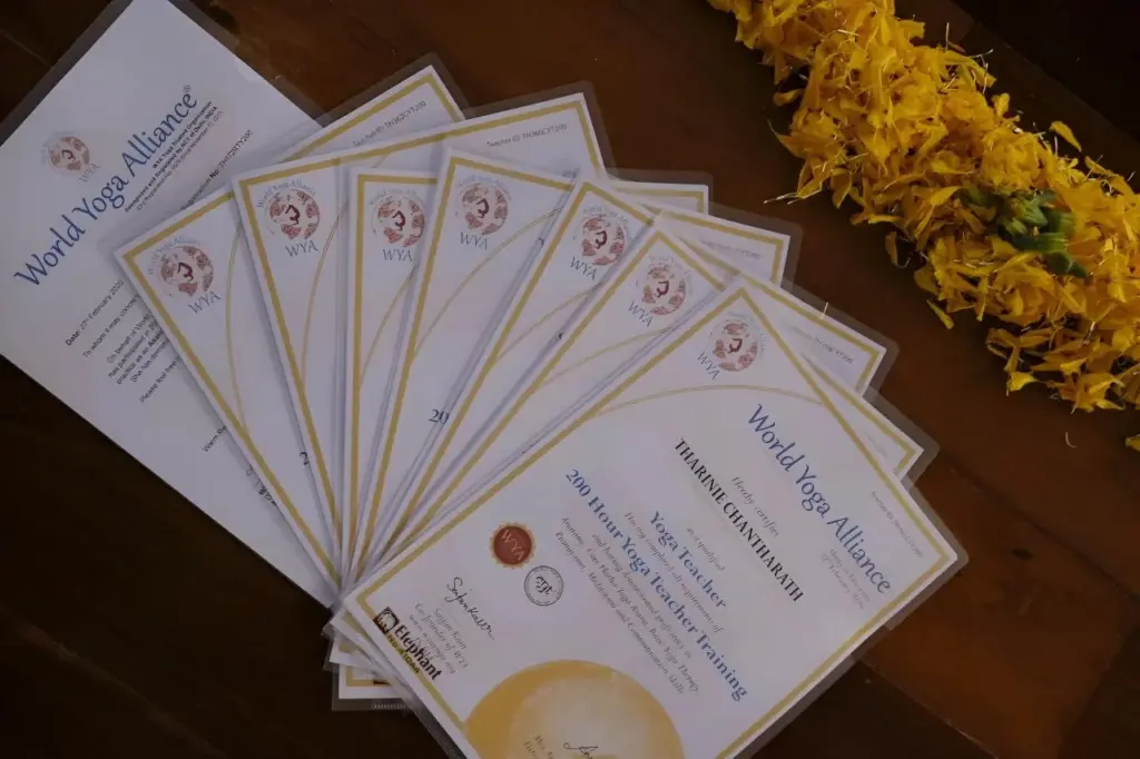 CYS License Registration and Levels chart showing 16–500+ hour Certified Yoga School programs under World Yoga Alliance standards