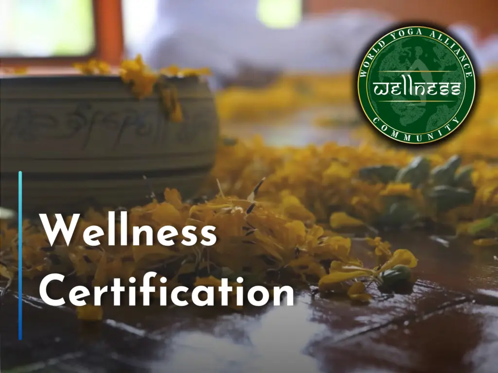 Wellness Certification