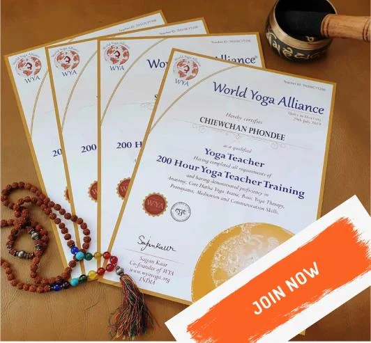 Legal Center World Yoga Alliance Community – Privacy, policies, and legal transparency for global yoga professionals