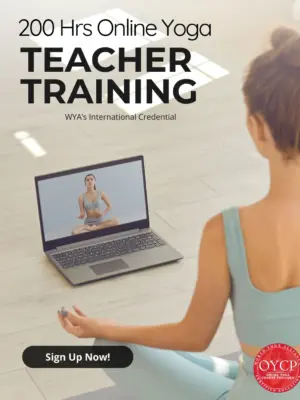 Online Yoga TTC certification course for yoga teachers